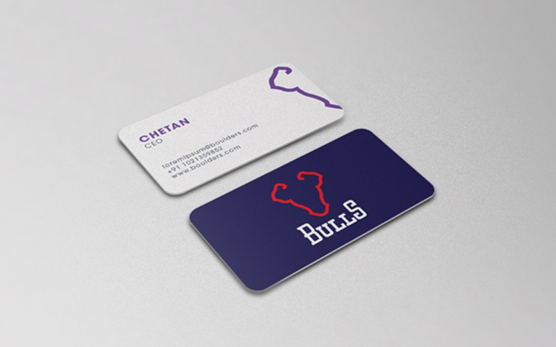 Bulls Branding